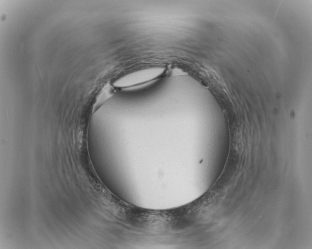 X0000088070697200706011514