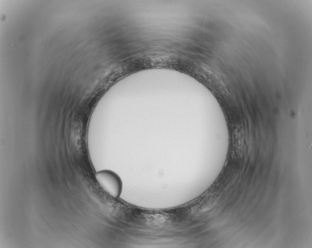 X0000088070698200706011514