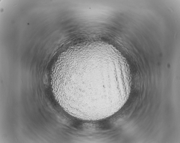 X0000088070699200706011514