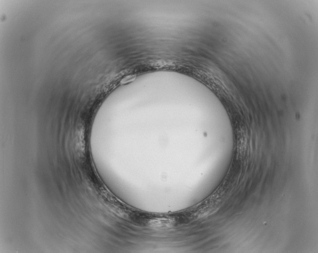 X0000088070700200706011514