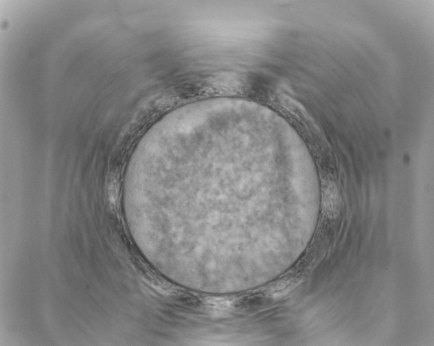 X0000088070701200706011514