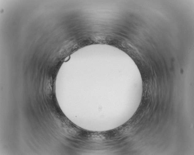 X0000088070702200706011514