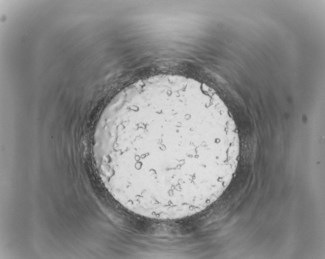 X0000088070703200706011514