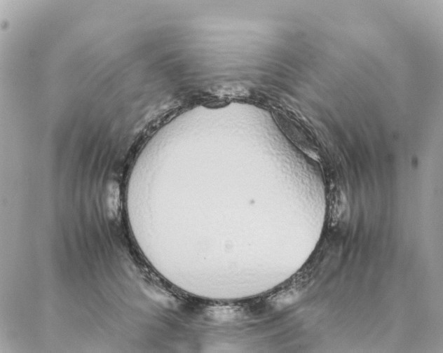 X0000088070704200706011514