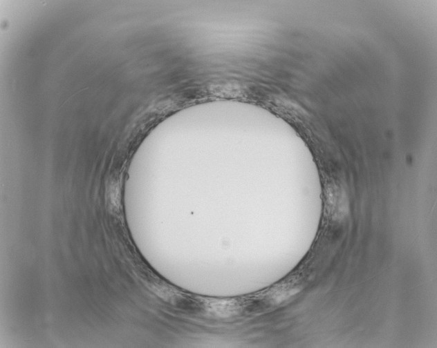 X0000088070705200706011514