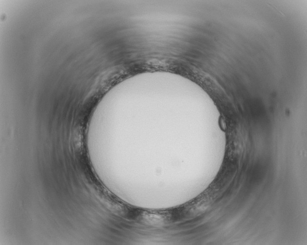 X0000088070706200706011514