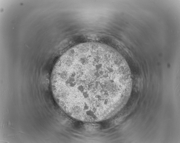 X0000088070707200706011514