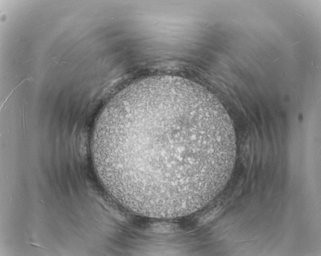 X0000088070708200706011514