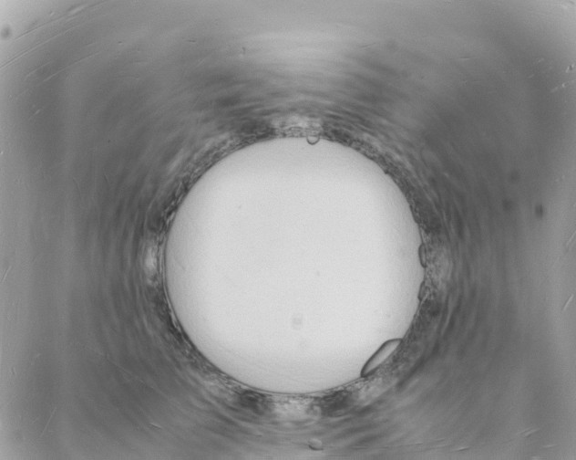 X0000088070709200706011514