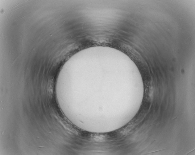 X0000088070710200706011514