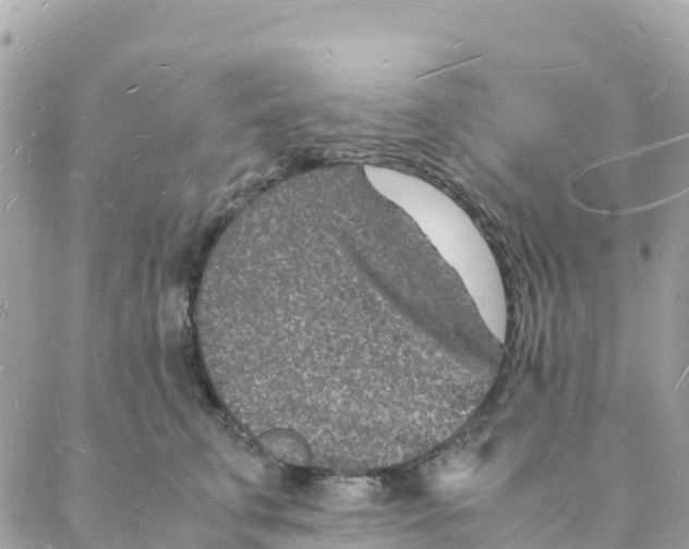 X0000088070711200706011514