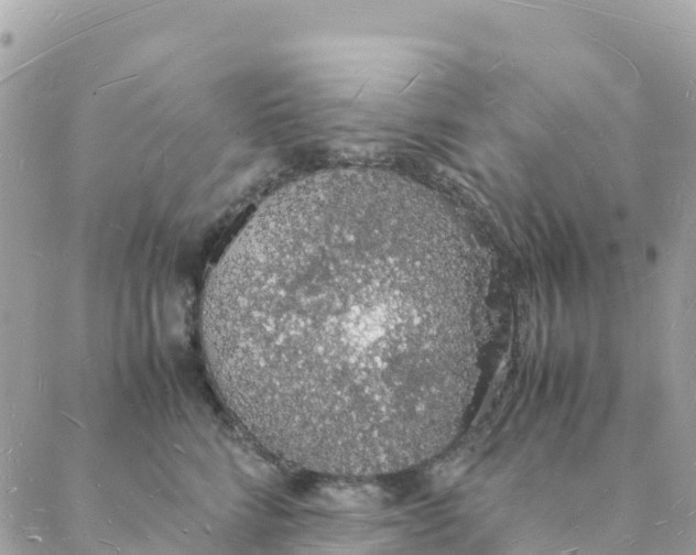 X0000088070712200706011514