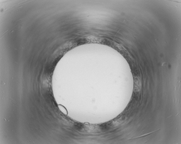 X0000088070713200706011513