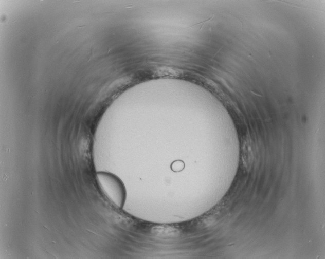 X0000088070714200706011513