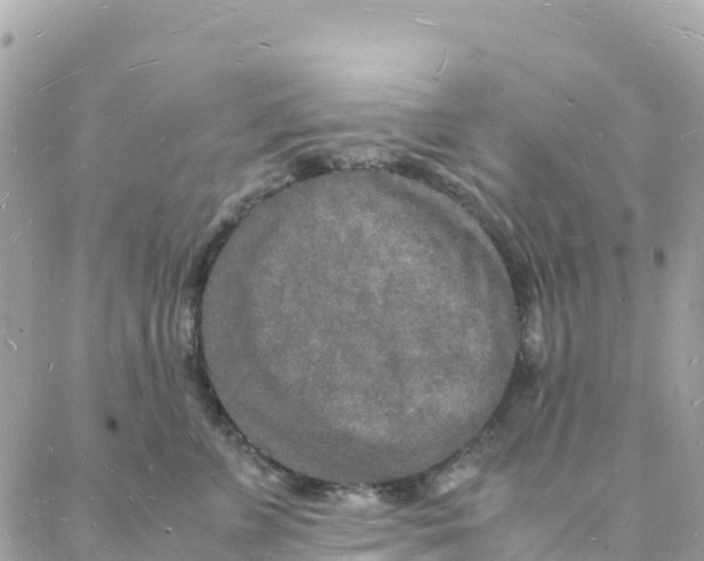 X0000088070715200706011513