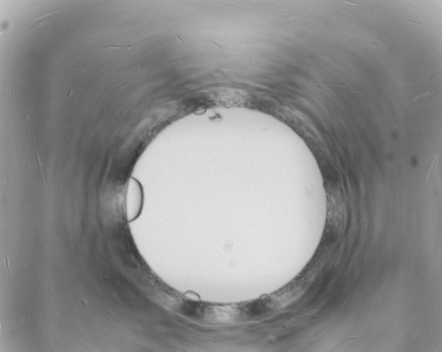 X0000088070717200706011513