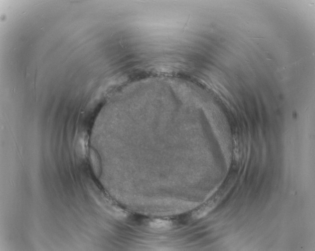 X0000088070718200706011513