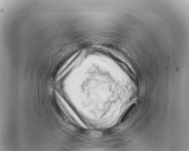 X0000088070719200706011513