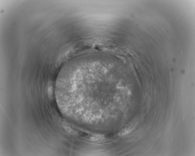 X0000088070720200706011513