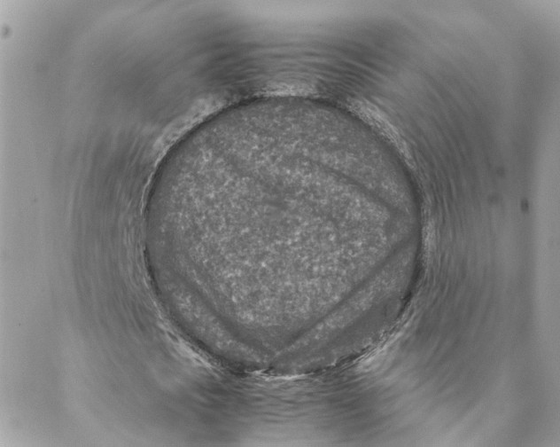 X0000088070721200706011513