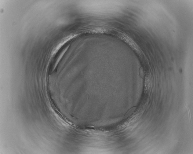 X0000088070722200706011513