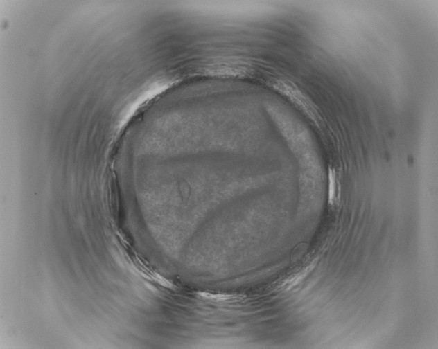 X0000088070723200706011513