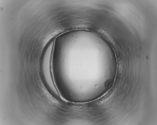 X0000088070725200706011513