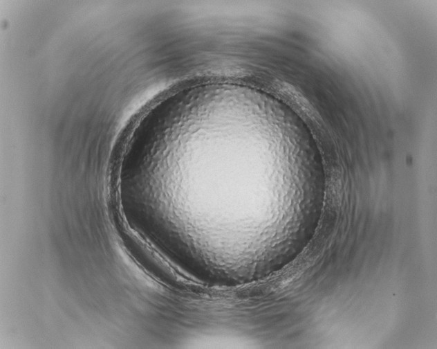 X0000088070726200706011513