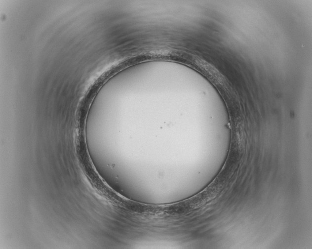 X0000088070728200706011513