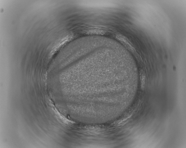 X0000088070729200706011513