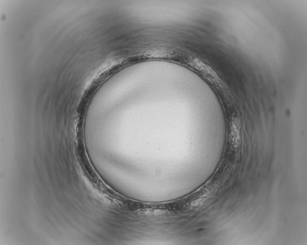 X0000088070730200706011513