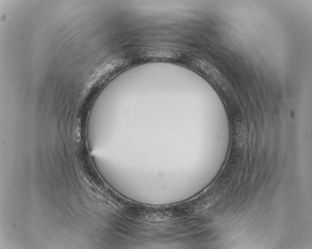 X0000088070731200706011513