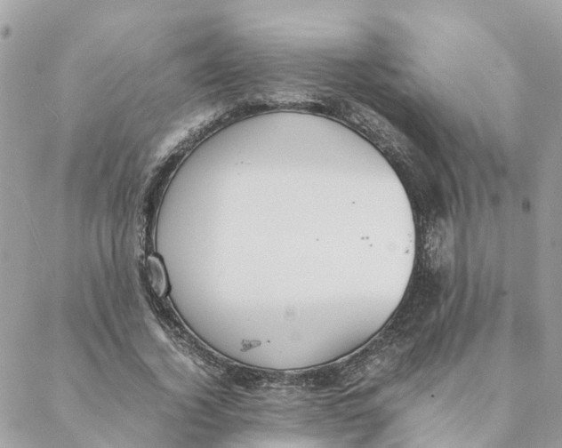 X0000088070732200706011513