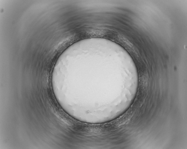 X0000088070733200706011513