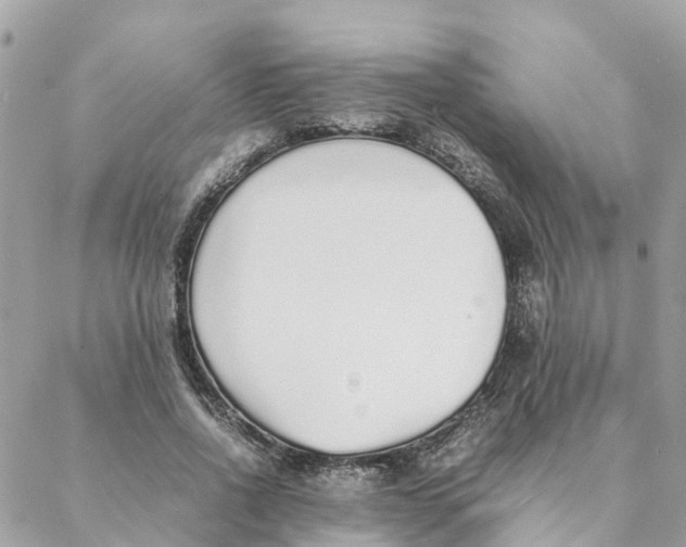 X0000088070734200706011513