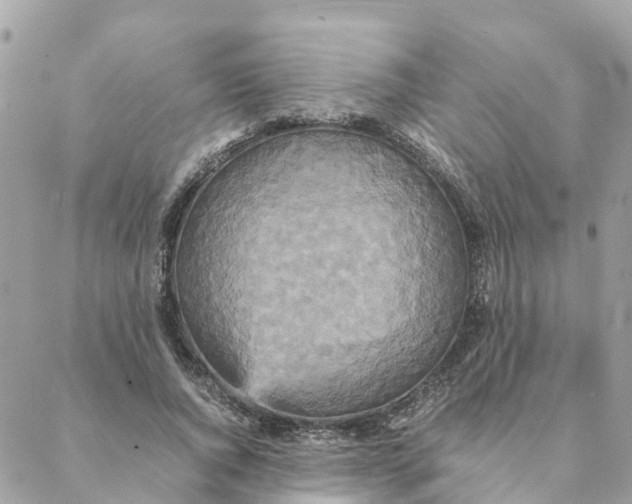 X0000088070736200706011513