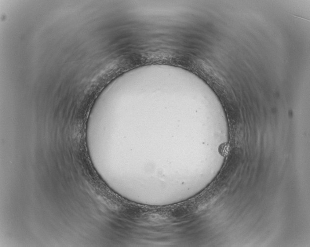 X0000088070737200706011513