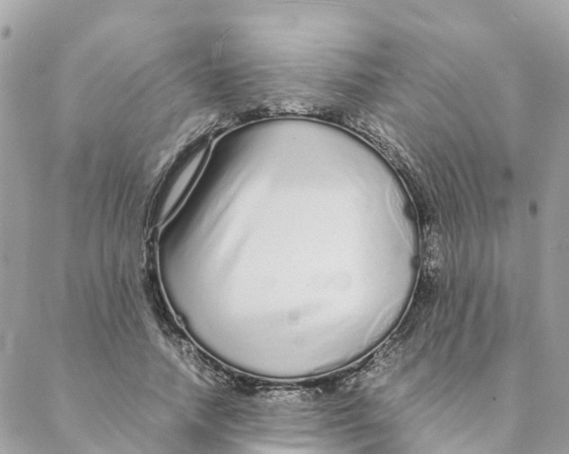 X0000088070738200706011513