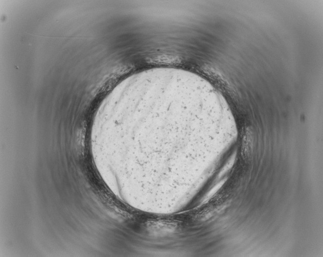 X0000088070739200706011513