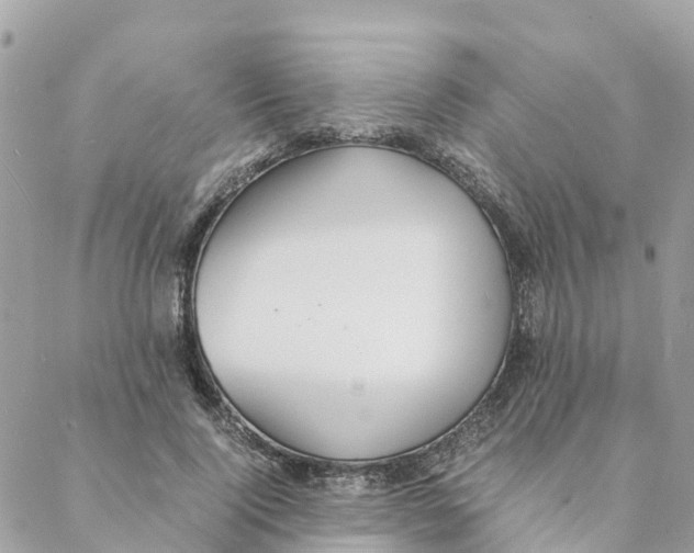 X0000088070740200706011513