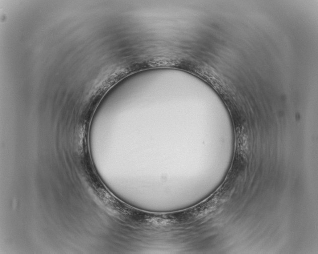 X0000088070742200706011513