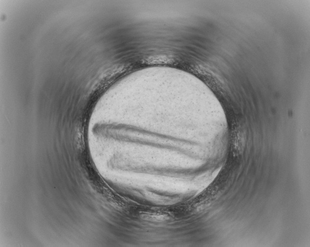 X0000088070743200706011513