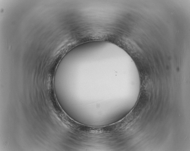 X0000088070744200706011513