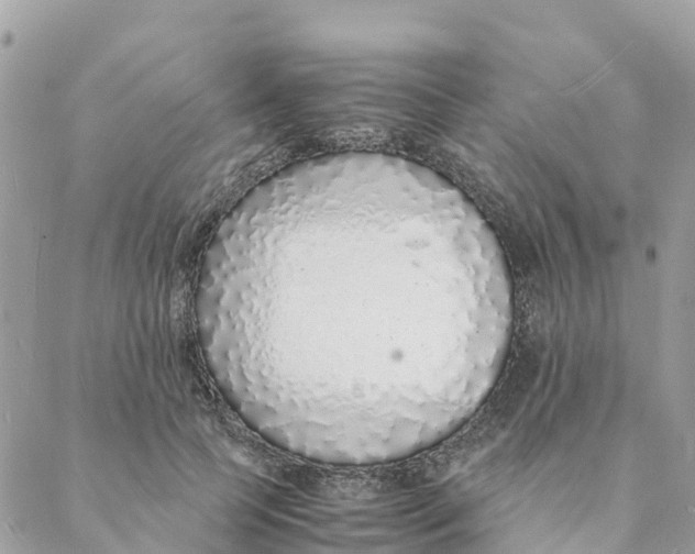 X0000088070745200706011513