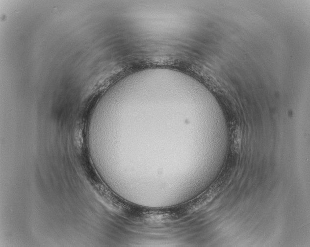 X0000088070746200706011513