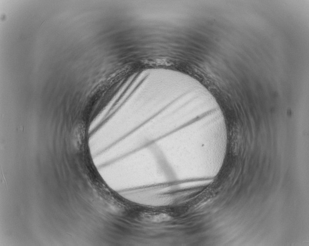 X0000088070747200706011513