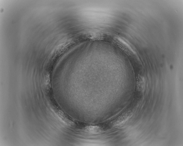 X0000088070748200706011513