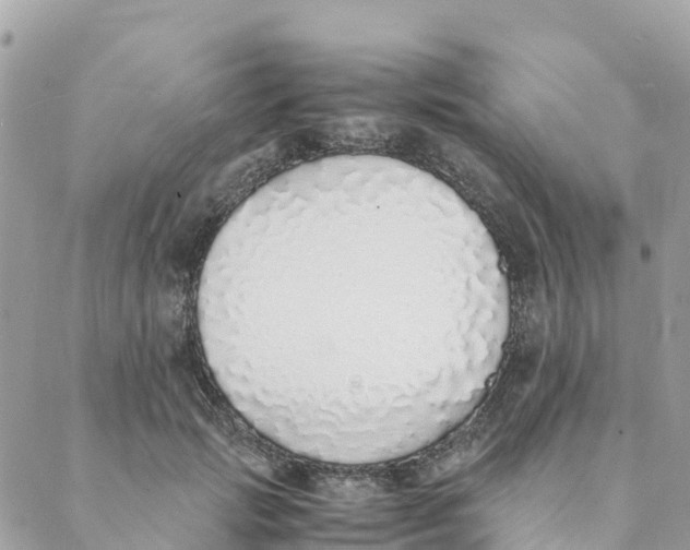 X0000088070749200706011513