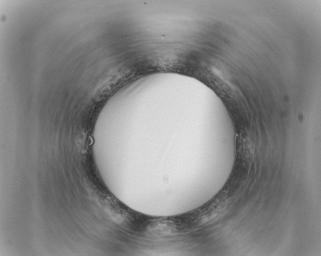 X0000088070750200706011513