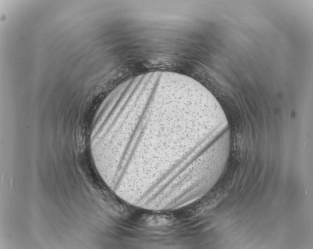 X0000088070751200706011513